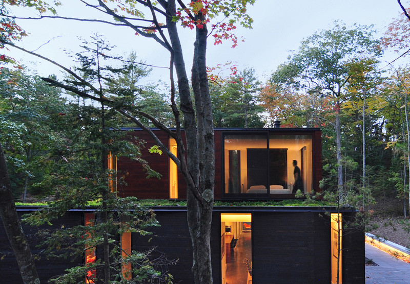 Pleated House green roof