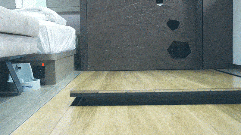 Tiny Transforming Apartment floor storage