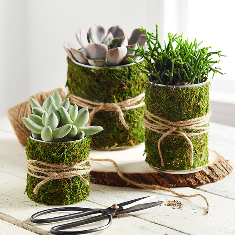 Moss-Wrapped Soup Can Organizer