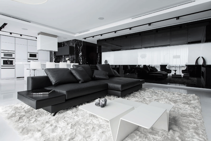 Black and White apartment