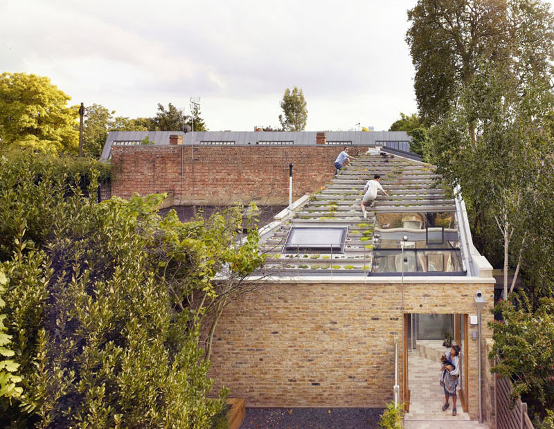 Terraced roof garden