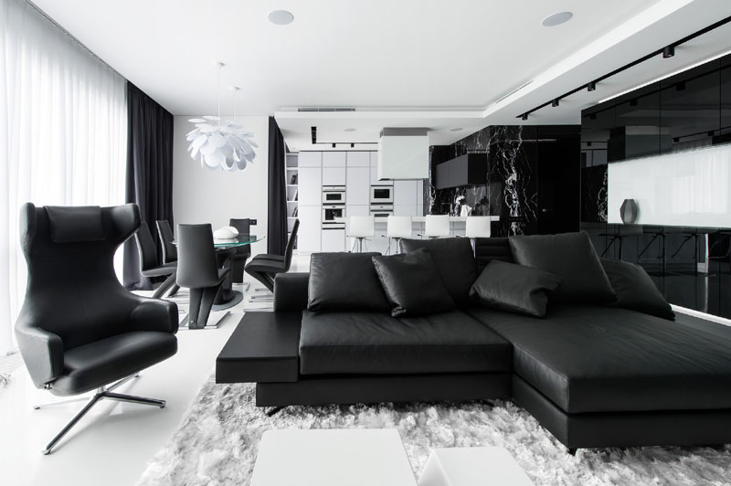 Black and White apartment living room