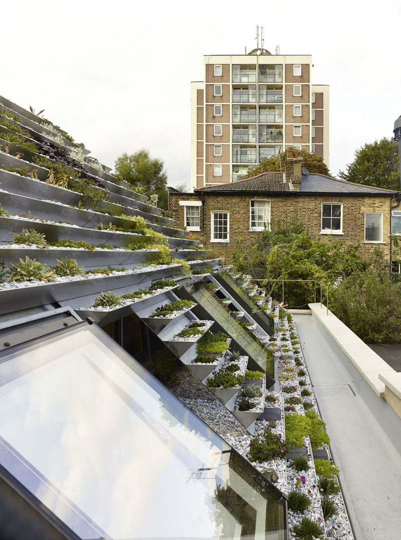 Terraced roof garden alley