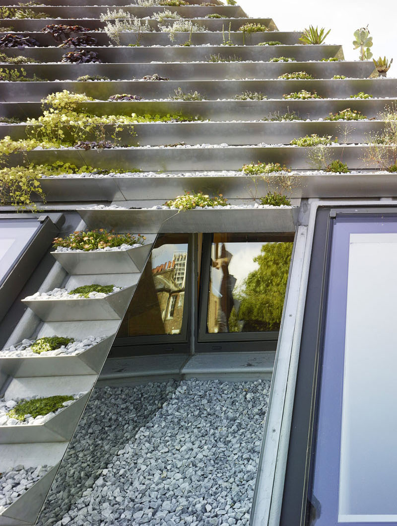 Terraced roof garden width=