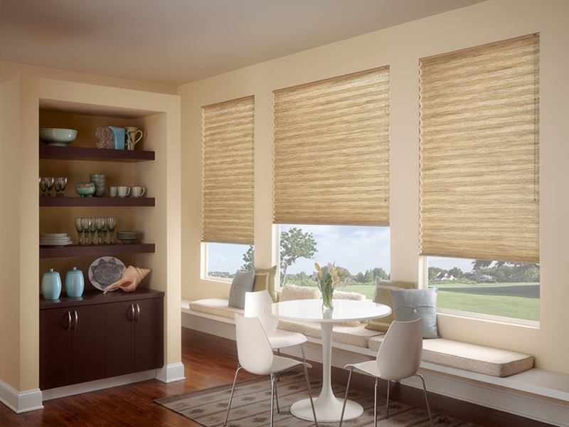 Pleated blinds