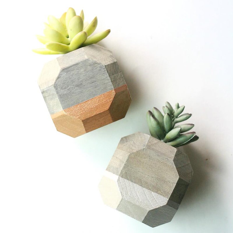 DIY Geometric Succulent Planters