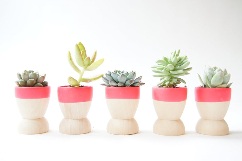 Dip DIY Adorable Dipped Mini Wooden Bowls & Planter