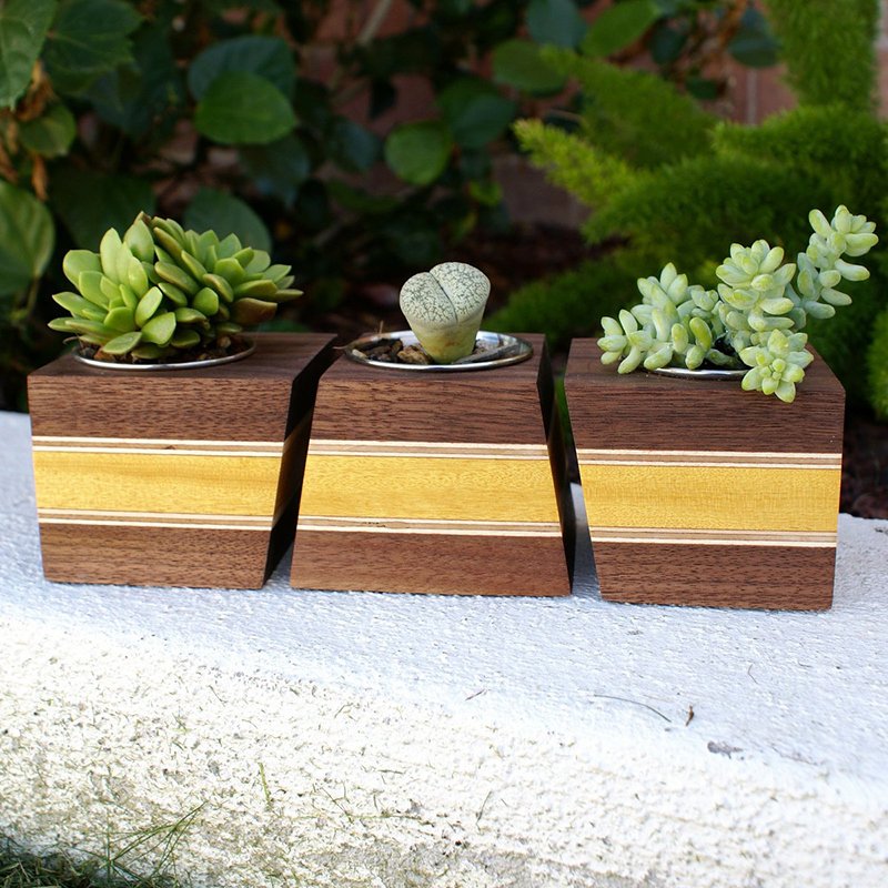 Modern Wood Walnut Boxcar Succulent Planters