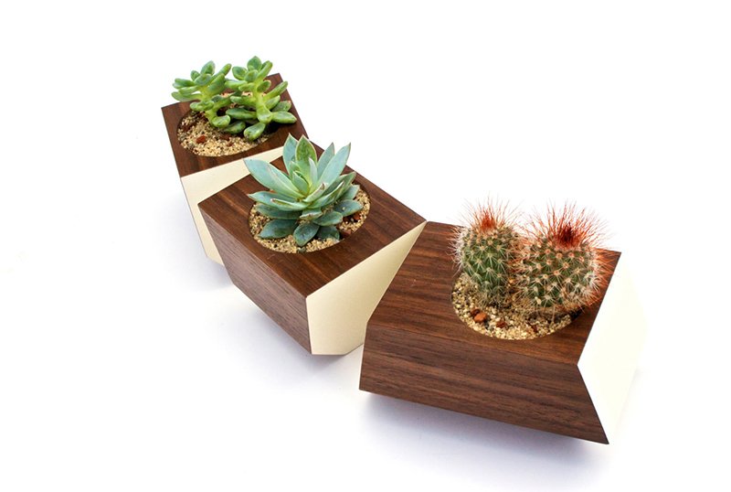 Boxcar Planter- Walnut and Bone White