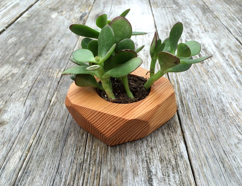 Geometric Wooden Succulent Planter