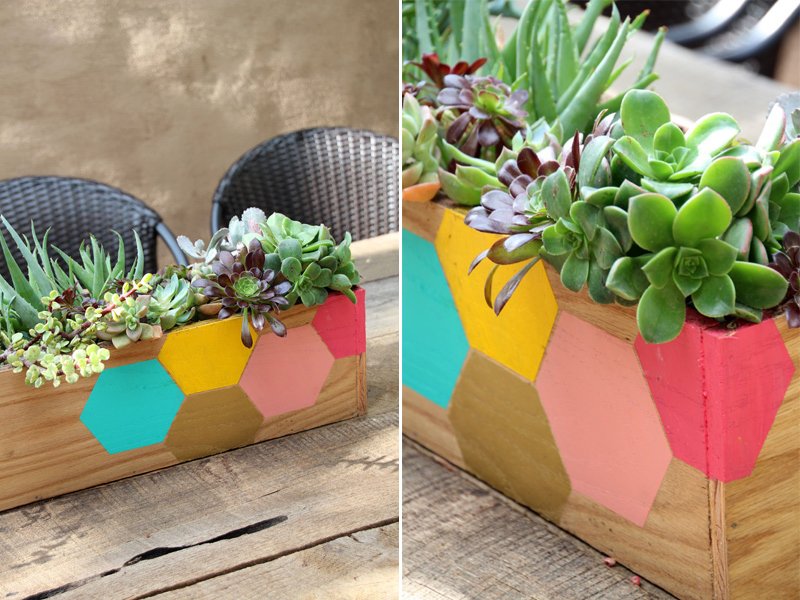 DIY Succulent Planter Box