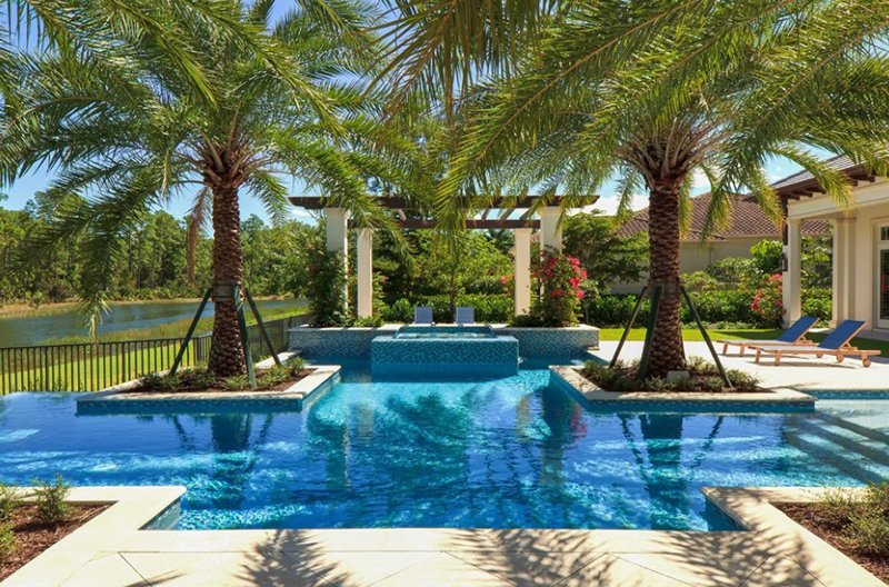 What Are The Best Types Of Trees To Have Around Your Pool, 44% OFF