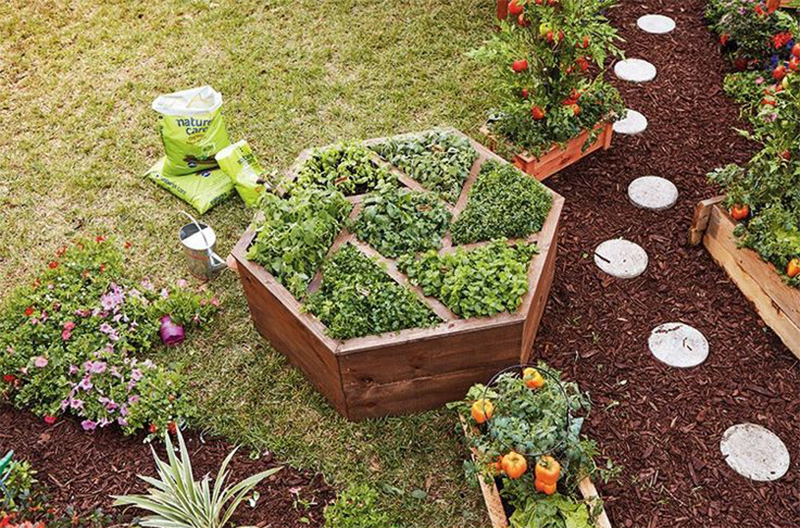 Hexagon Planter