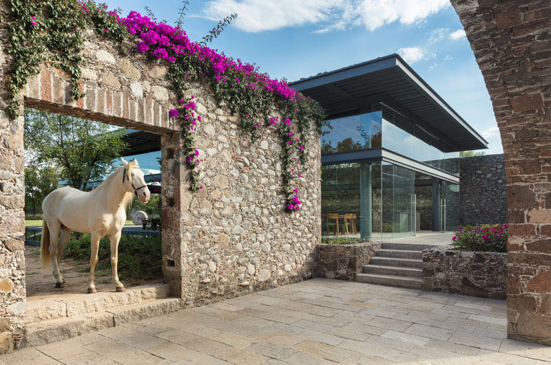 Hacienda El Barreno Visitors Pavilion horse