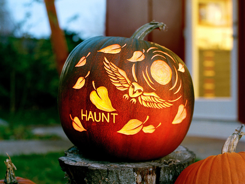 20 Easy DIY Carved Pumpkins for Your Halloween Decor ...