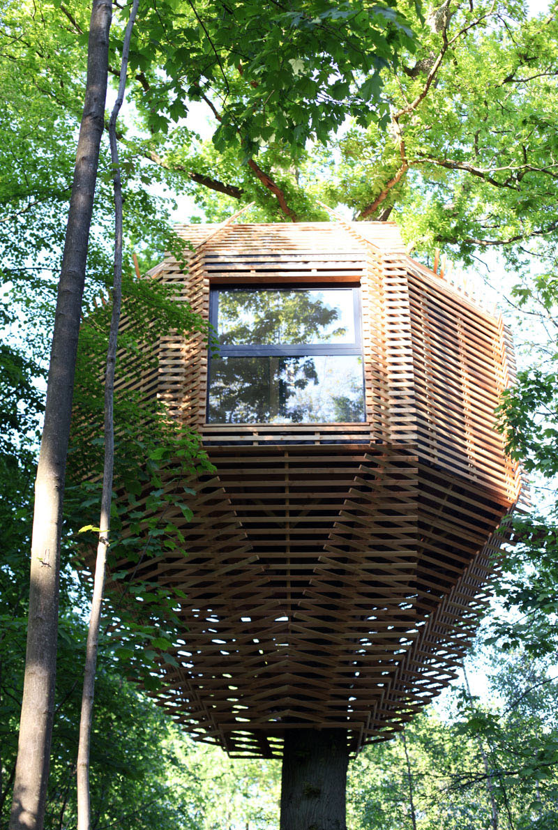 Origin House: An Awe-Inspiring Birds Nest Inspired Tree House in France