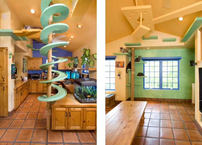 20 Creative Indoor Cat Playground  Ideas Home Design Lover