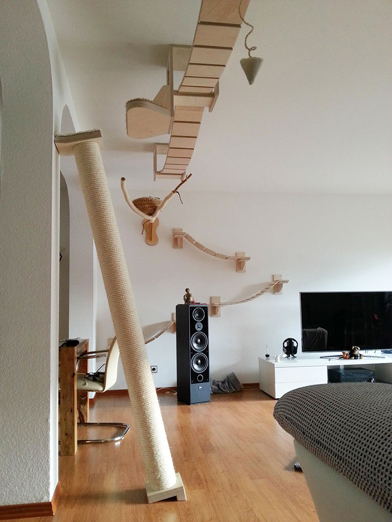 Overhead Cat Playgrounds