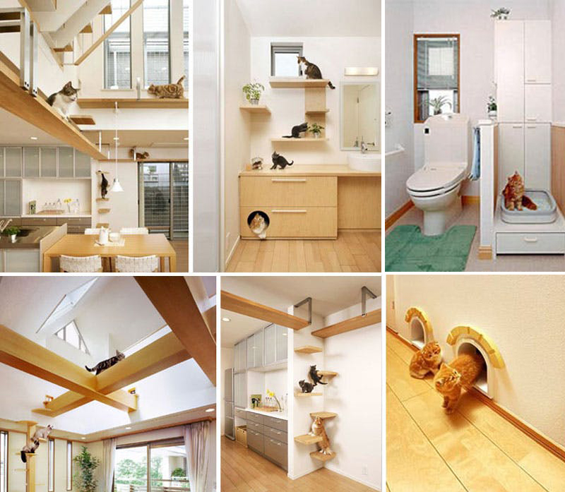 20 Creative Indoor Cat Playground  Ideas OBSiGeN