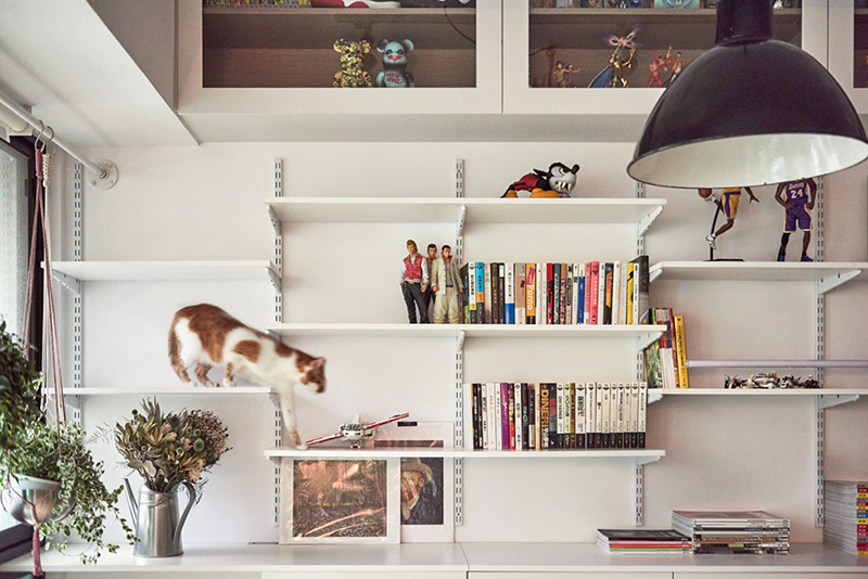 cat playground on wall