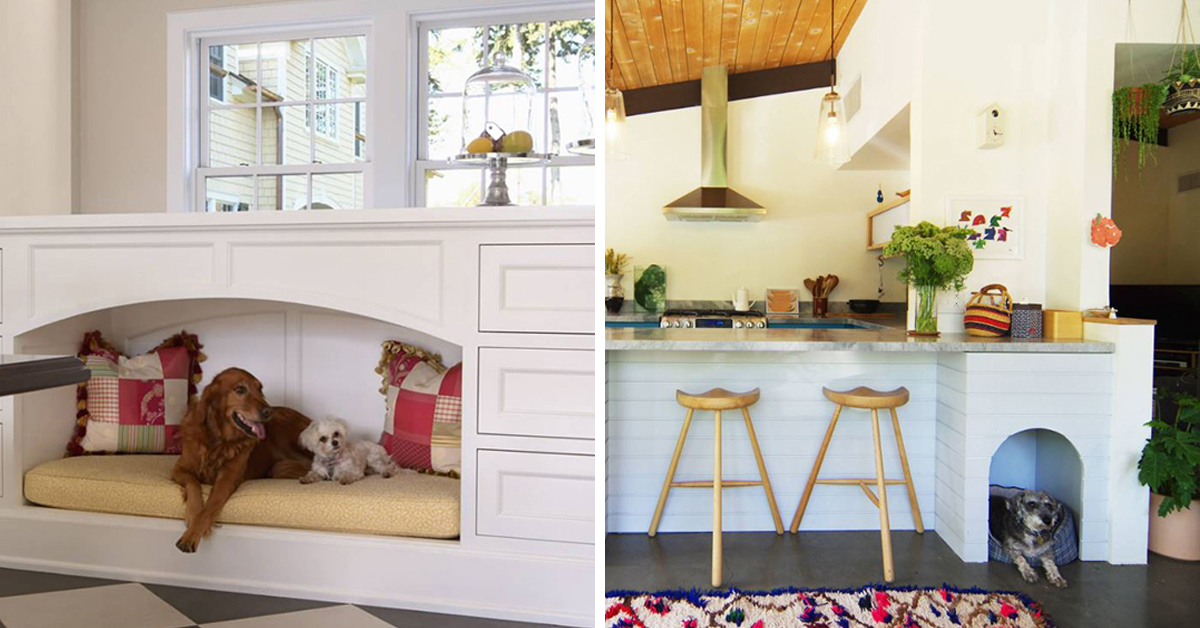 20 Fun House Design Ideas for Your Pets